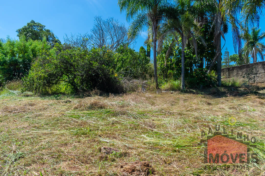 Terreno à venda, 1000m² - Foto 7