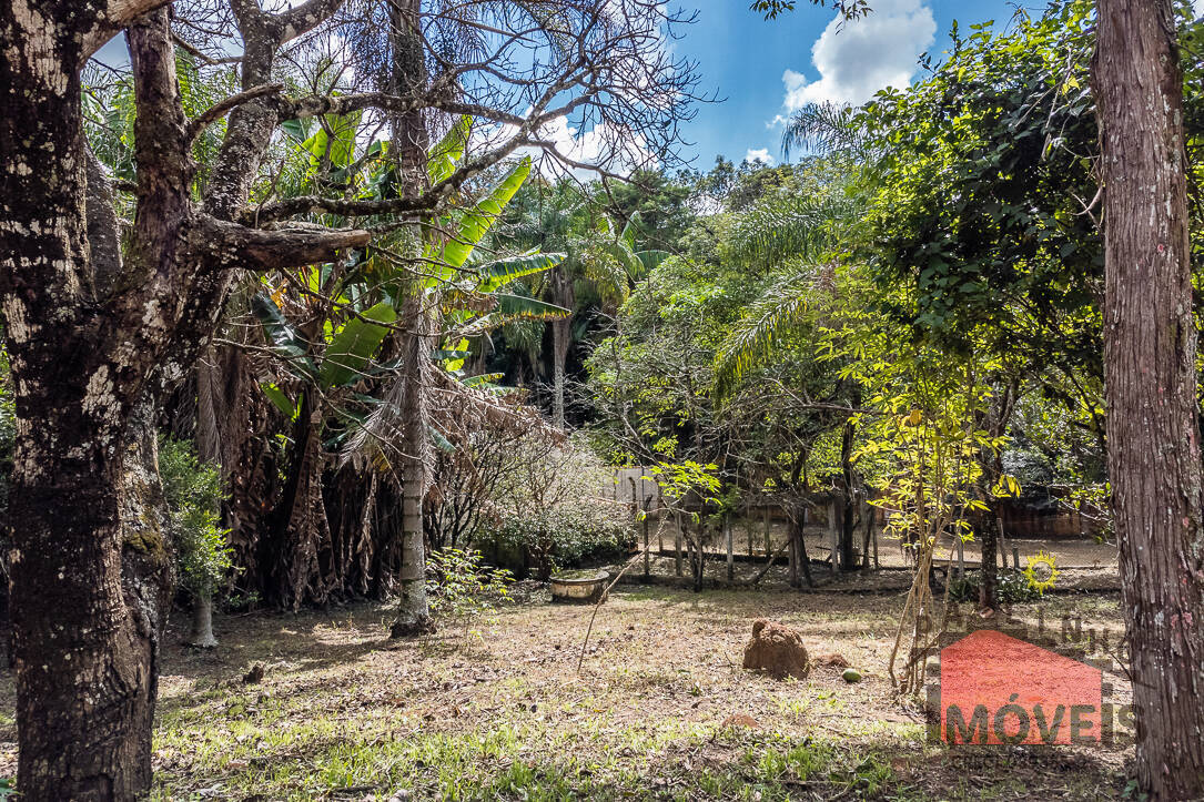 Terreno à venda, 1000m² - Foto 4